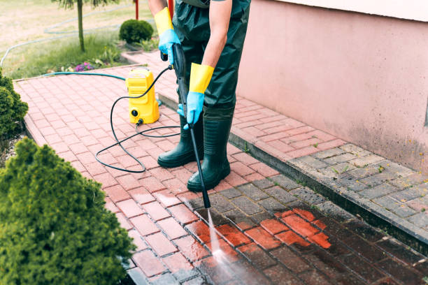 Best Driveway Pressure Washing  in Forked River, NJ